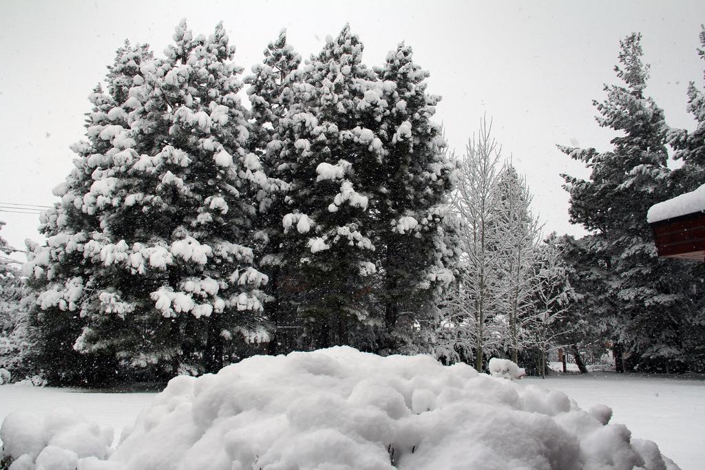 Hosteria Canela B&B Esquel Zewnętrze zdjęcie