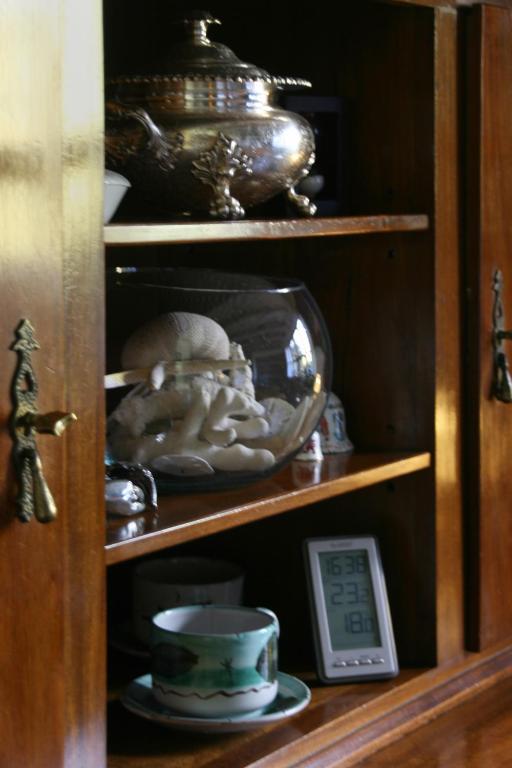 Hosteria Canela B&B Esquel Zewnętrze zdjęcie